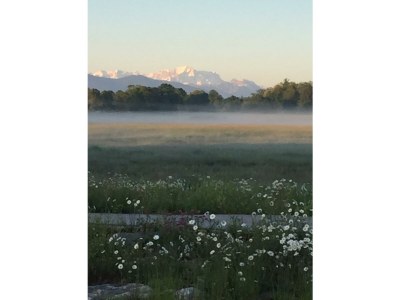 Holiday apartment "Elisabeth" in Mag House. - Environment photo 24