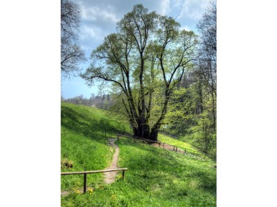 Holiday apartment "Elisabeth" in Mag House. - Environment photo 26