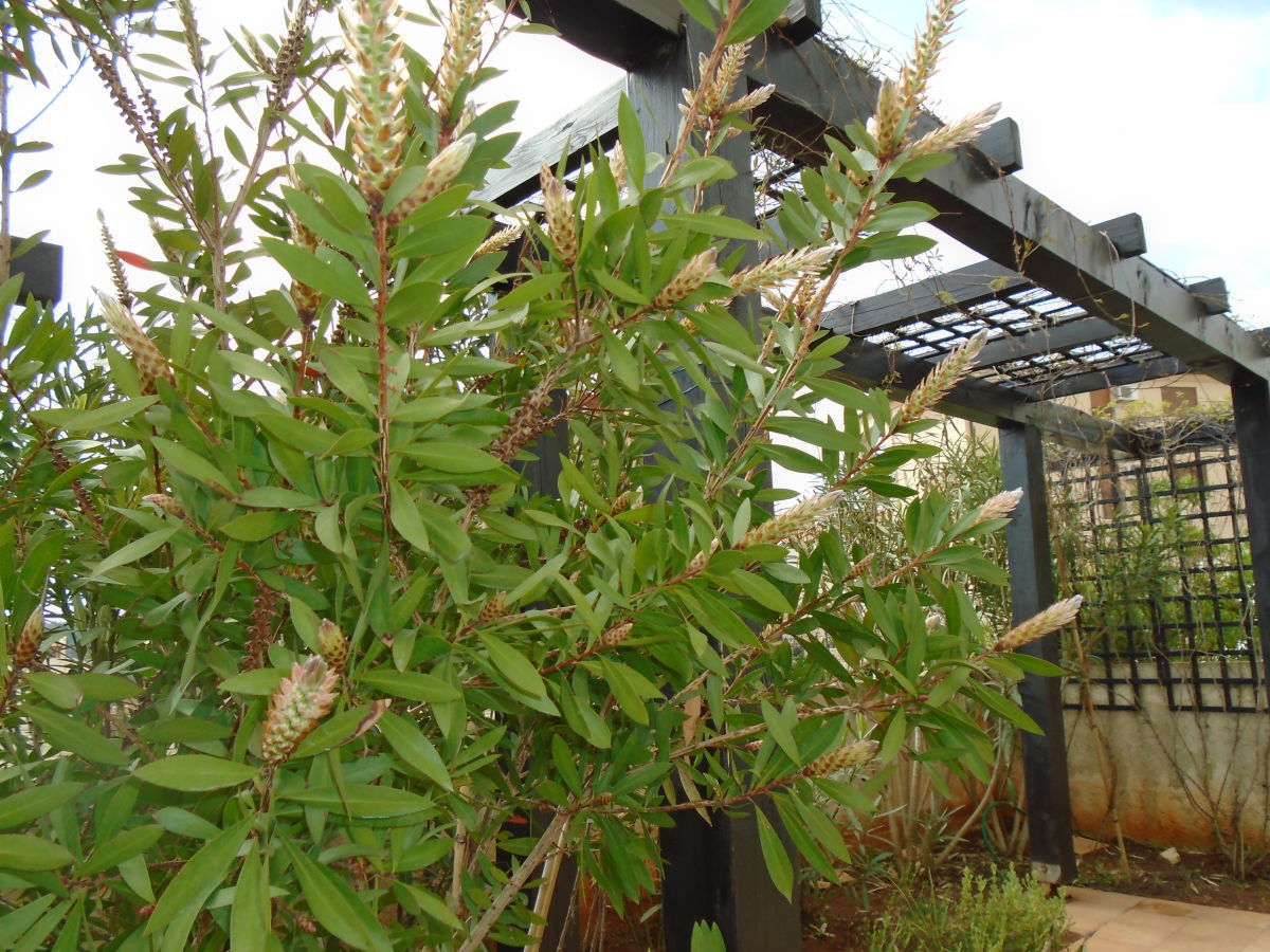 Holiday apartment Sea View - Outdoor photo 3