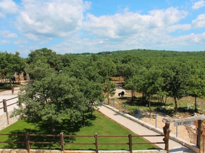 Holiday apartment Jakici - Outdoor photo 19