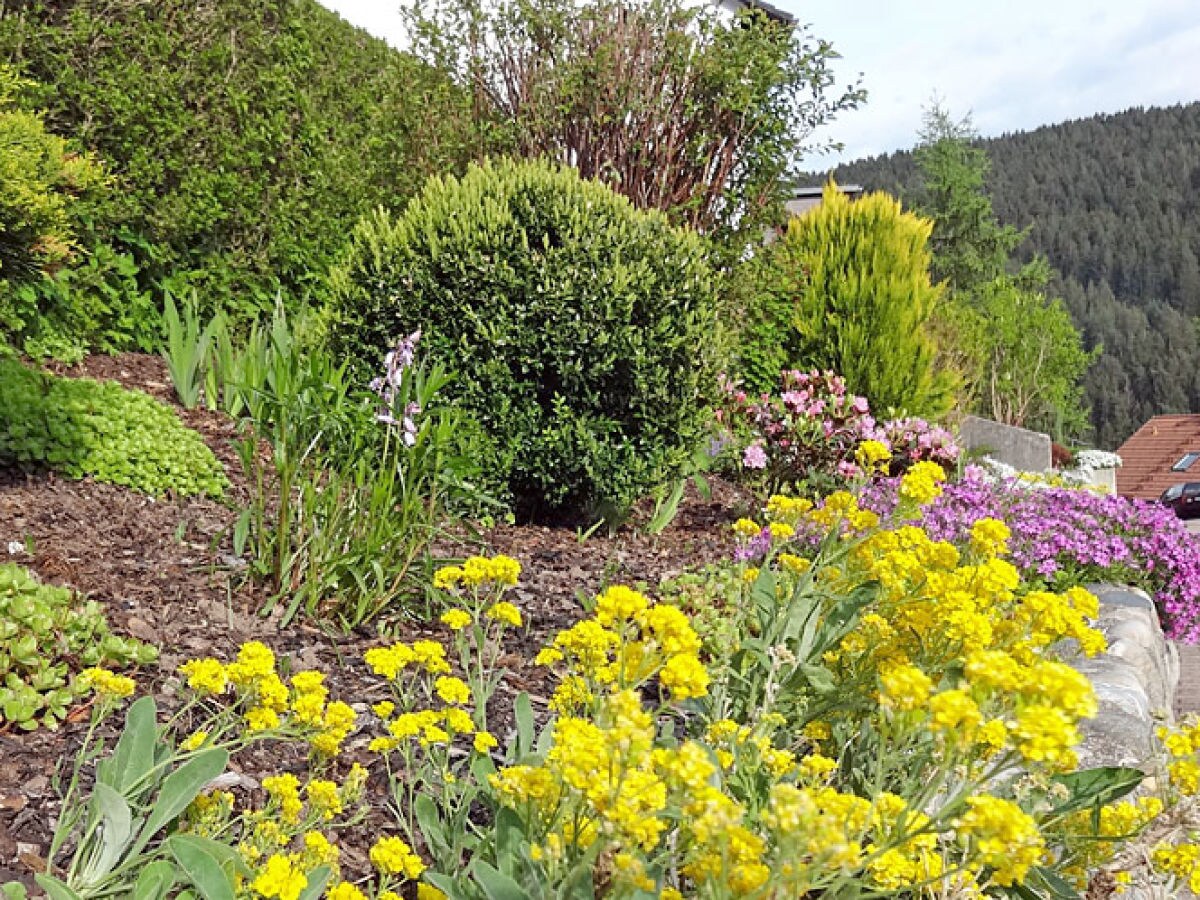 Holiday apartment Haus Hanl - Outdoor photo 3