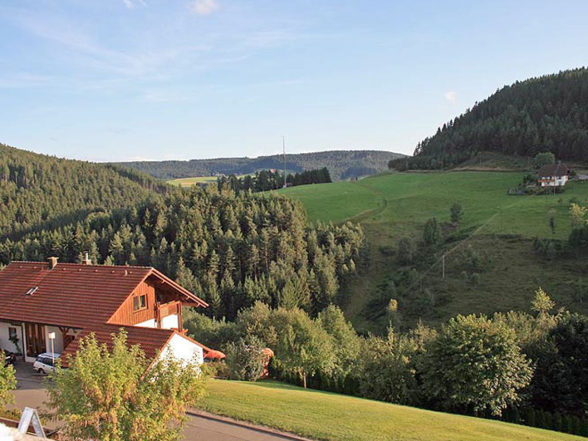 Holiday apartment Haus Hanl - Outdoor photo 4