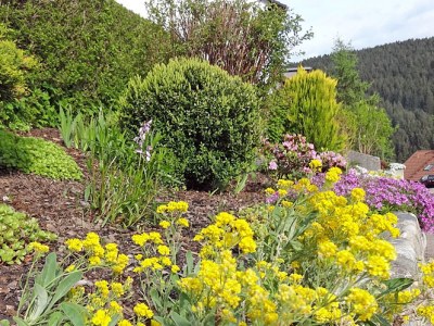 Holiday apartment Haus Hanl - Outdoor photo 3