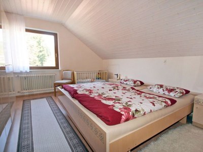Holiday apartment Haus Hanl - Features photo 13