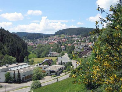 Holiday apartment Haus Hanl - Environment photo 18