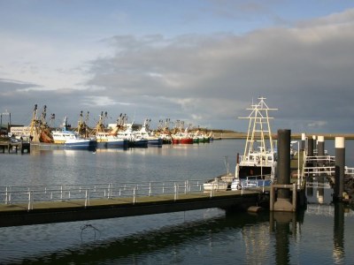 Holiday house Holiday home Grevelingen 44 in the North Sea Park Ouddorp - Environment photo 22
