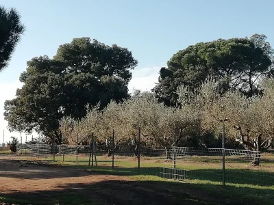 Holiday house Mira - Environment photo 24