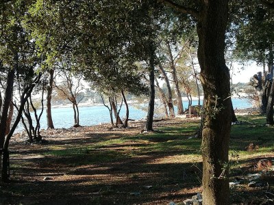 Holiday house Mira - Environment photo 26