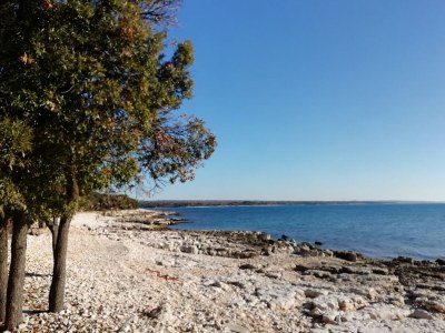 Holiday house Mira - Environment photo 29