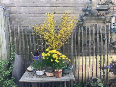 Holiday apartment Gravemaker - Features photo 18