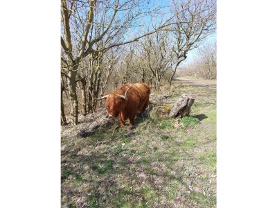 Holiday apartment Gravemaker - Features photo 21