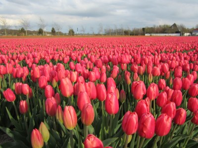 Holiday apartment Gravemaker - Environment photo 23