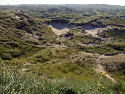 Holiday apartment Gravemaker - Environment photo 25