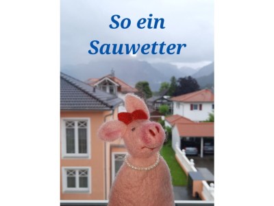 Holiday apartment Ana's Ferienwohnung - Königsschlösser - Outdoor photo 6