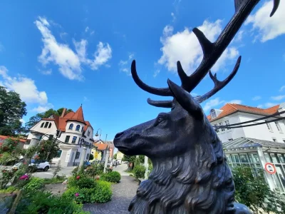 Holiday apartment Ana's Ferienwohnung - Königsschlösser - Environment photo 37