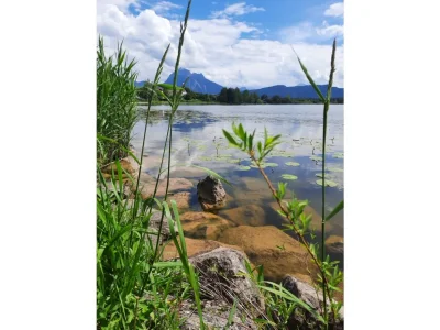 Holiday apartment Ana's Ferienwohnung - Königsschlösser - Environment photo 40