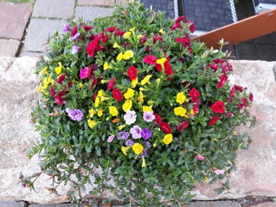 Holiday apartment Source - Features photo 30