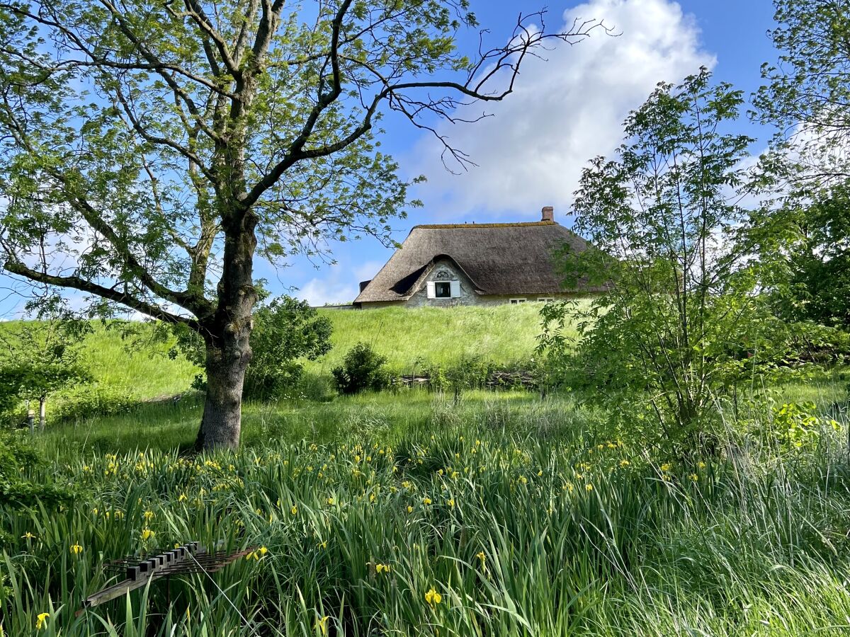 Holiday house Tetenbüllspieker - Outdoor photo 2