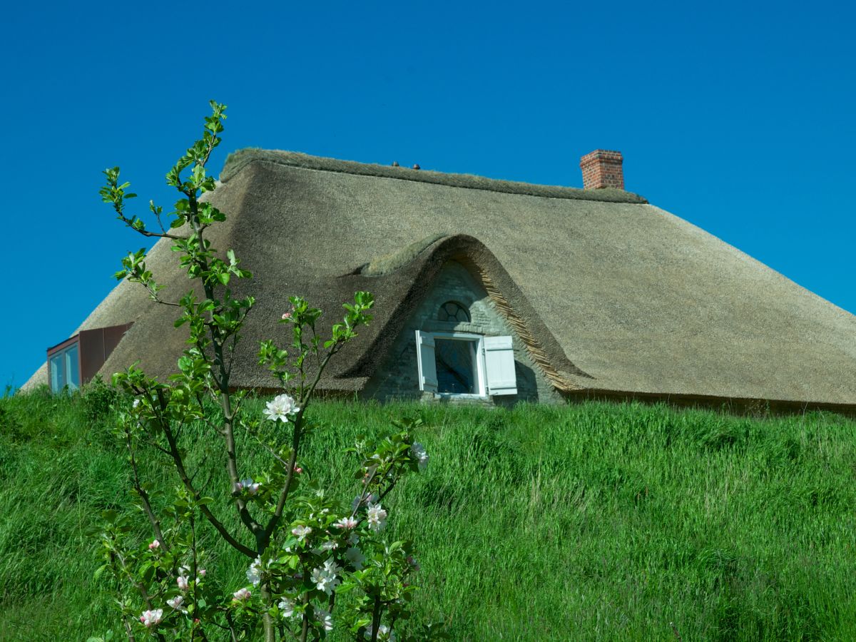 Holiday house Tetenbüllspieker - Outdoor photo 5