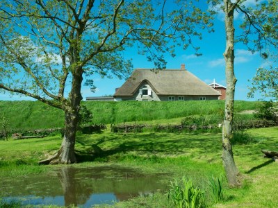 Holiday house Tetenbüllspieker in Tetenbüll-Wasserkoog - Holiday house