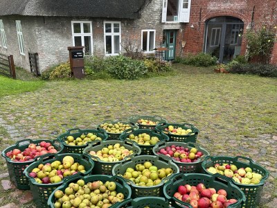 Holiday house Tetenbüllspieker - Outdoor photo 7