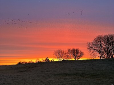 Holiday house Tetenbüllspieker - Environment photo 40