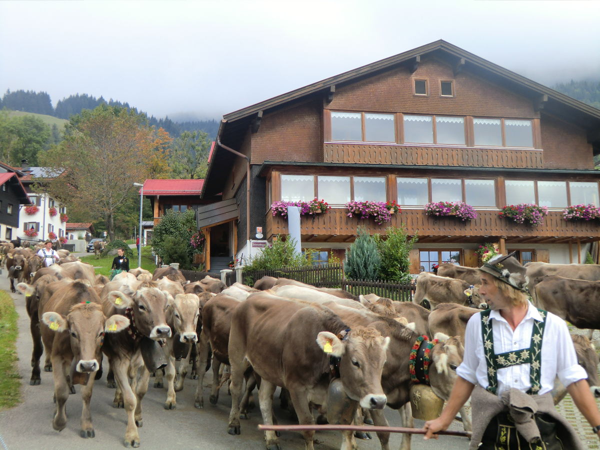 Holiday apartment Holzhey - Outdoor photo 2