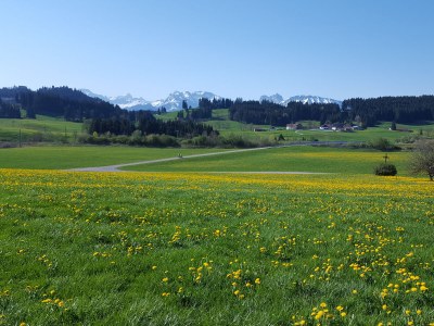 Holiday apartment Holzhey - Environment photo 22