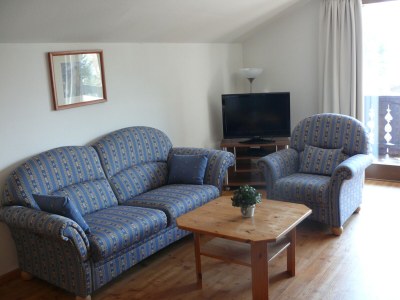 Holiday apartment Boarlehof Guesthouse - Features photo 12