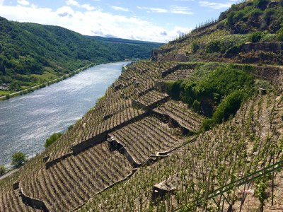 Holiday apartment Stein Boarding House Koblenz old town/town hall - Environment photo 27