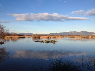 Holiday apartment with Pool Paradise 1 - Environment photo 26