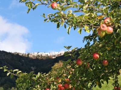 Holiday apartment Casa Alma - Environment photo 14