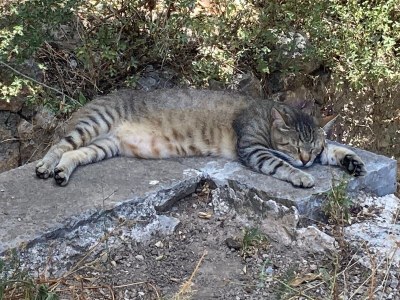 Holiday house Casa Amadeo - Environment photo 28