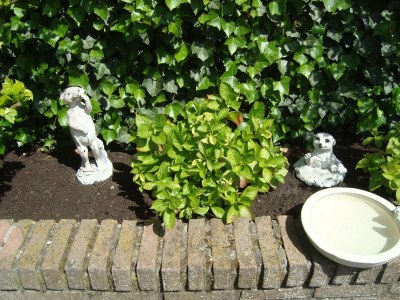 Apartment Ab and Joke van Dam - Outdoor photo 6