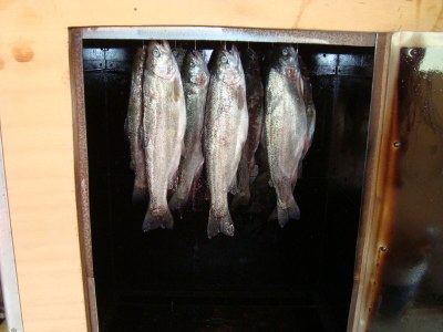 Apartment Ab and Joke van Dam - Environment photo 29