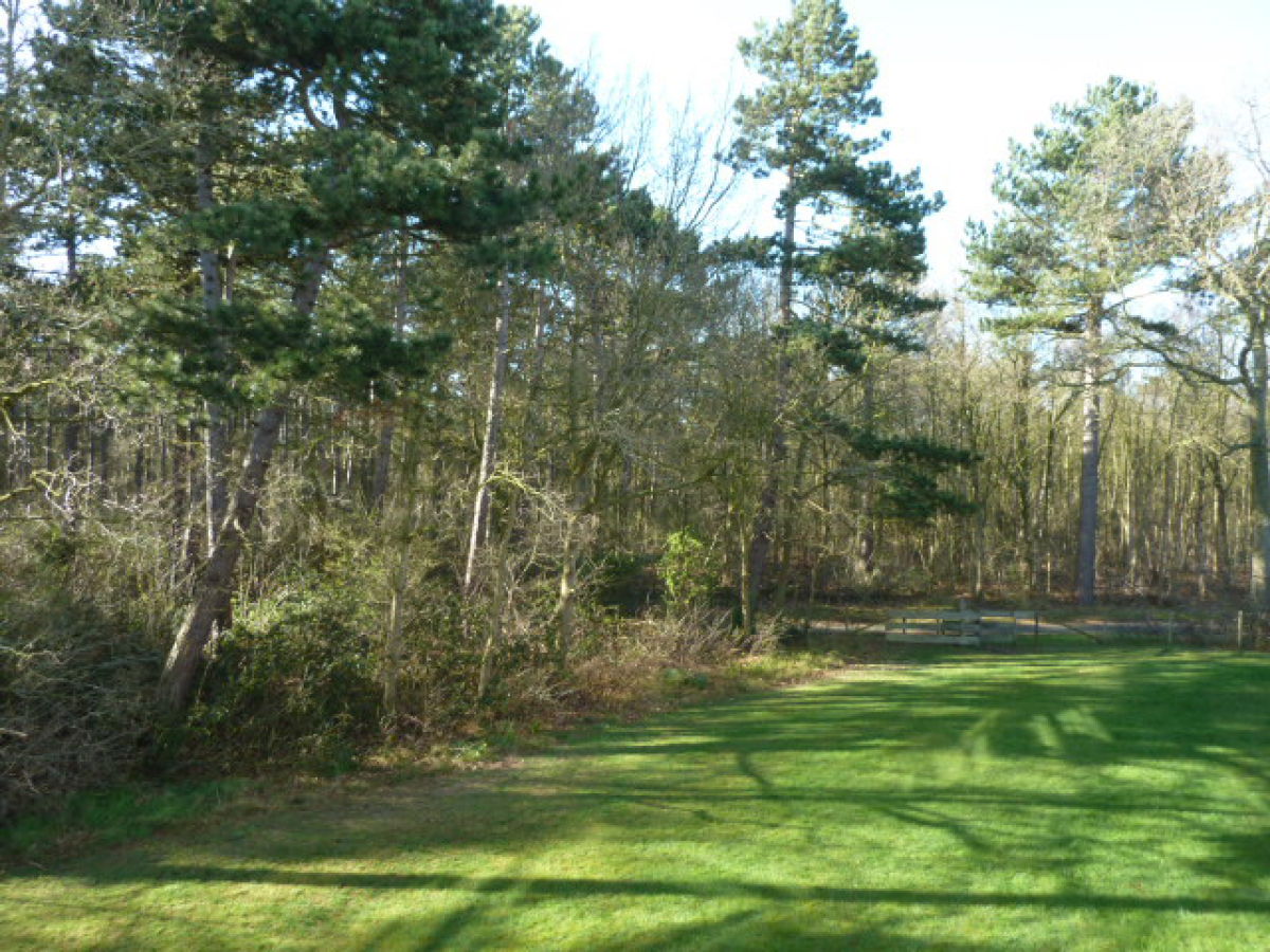 Holiday apartment Pelikaan 74 - Outdoor photo 3