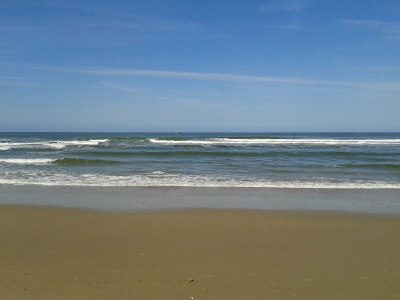 Holiday apartment Pelikaan 74 - Environment photo 16