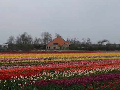 Holiday apartment Pelikaan 74 - Environment photo 17