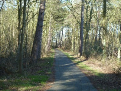 Holiday apartment Pelikaan 74 - Environment photo 20