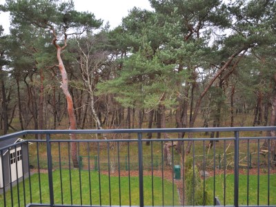 Holiday house Dünenwald - Outdoor photo 3