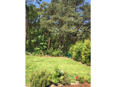 Holiday house Dünenwald - Outdoor photo 4