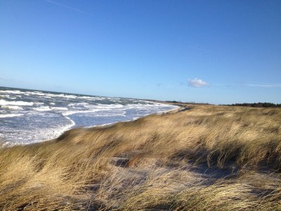 Holiday house Dünenwald - Environment photo 19