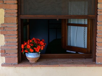 Holiday house with garden, pool and view of Volterra - 439 VOL - Outdoor photo 8