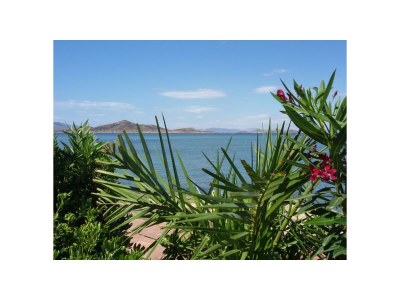 Villa Beachbungalow  Villa Eva V 8 - Environment photo 27