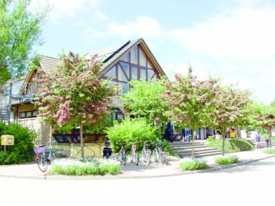 Holiday apartment Riechey 31E. - Environment photo 12