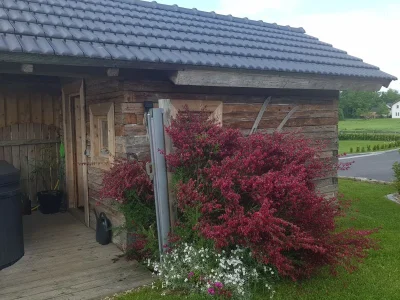 Chalet Log house three rivers - Outdoor photo 13