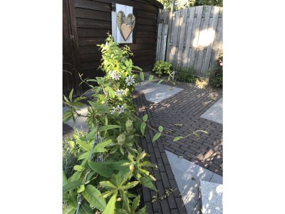 Holiday apartment Chapelle-Est - Outdoor photo 5