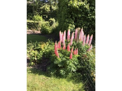 Holiday apartment Chapelle-Est - Outdoor photo 8