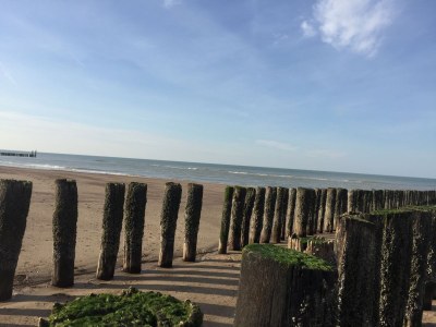 Holiday apartment Chapelle-Est - Environment photo 24