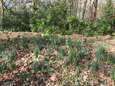 Holiday apartment Chapelle-Est - Environment photo 29